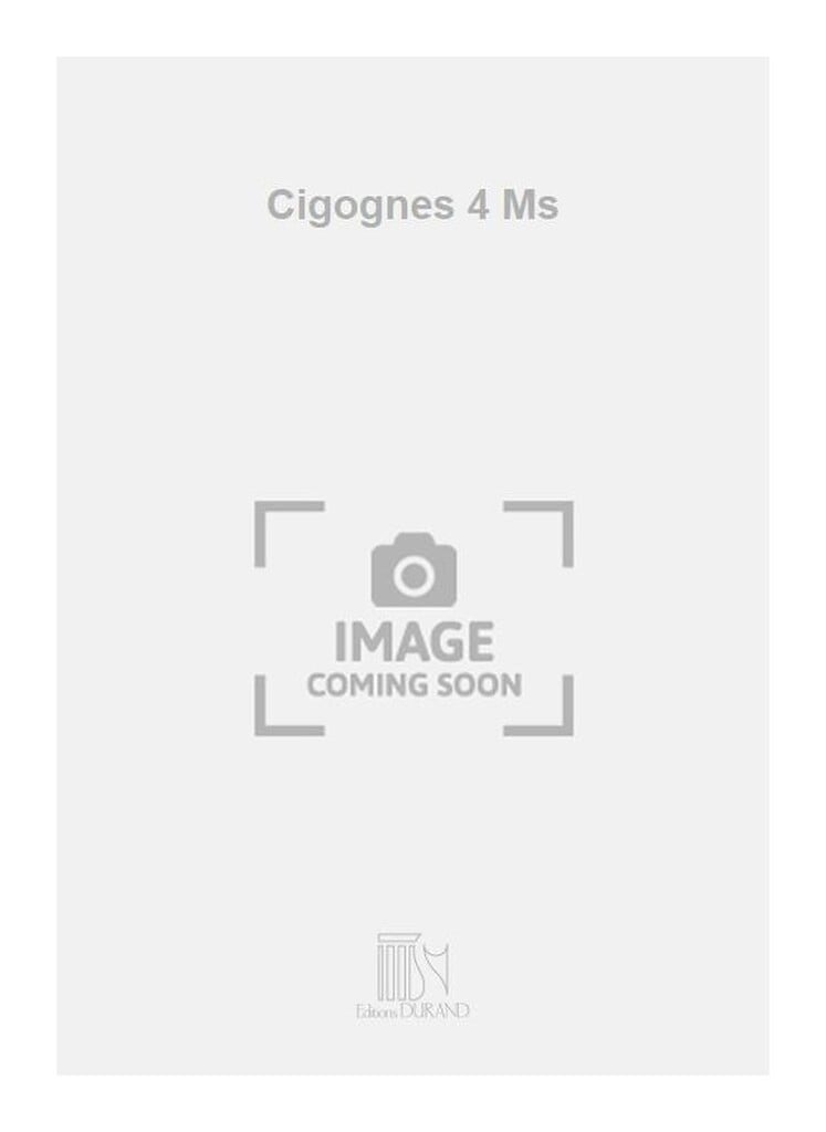 Cigognes 4 Ms